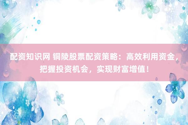 配资知识网 铜陵股票配资策略：高效利用资金，把握投资机会，实现财富增值！