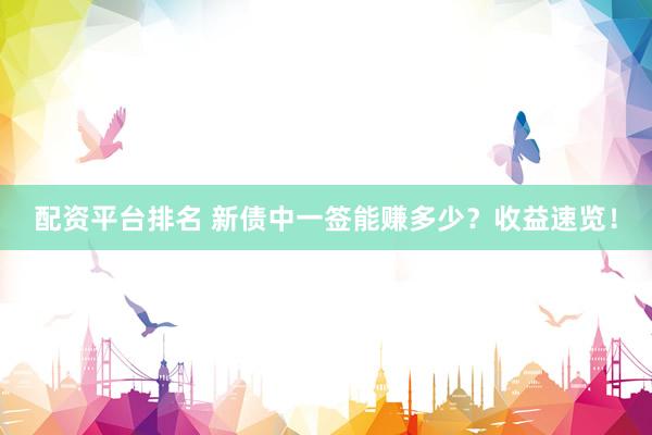 配资平台排名 新债中一签能赚多少？收益速览！
