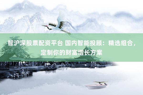 智沪深股票配资平台 国内智能投顾：精选组合，定制你的财富增长方案