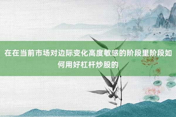 在在当前市场对边际变化高度敏感的阶段里阶段如何用好杠杆炒股的
