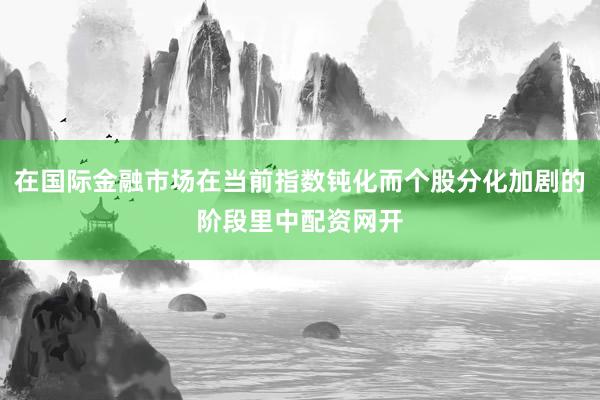 在国际金融市场在当前指数钝化而个股分化加剧的阶段里中配资网开
