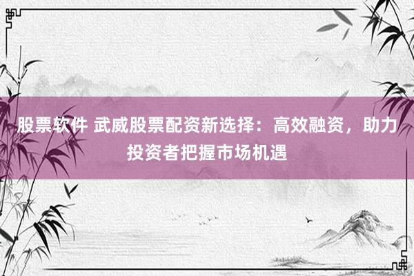 股票软件 武威股票配资新选择：高效融资，助力投资者把握市场机遇