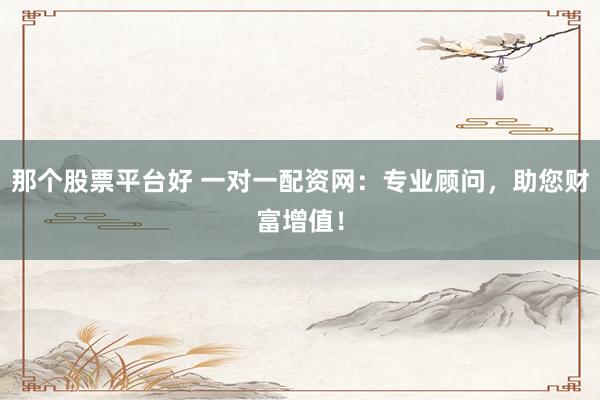 那个股票平台好 一对一配资网：专业顾问，助您财富增值！