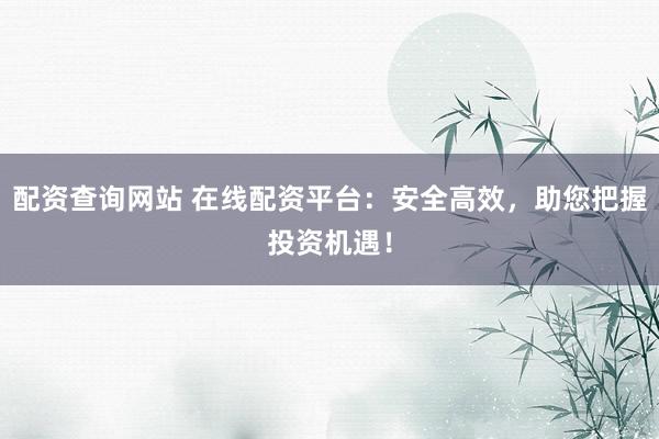 配资查询网站 在线配资平台：安全高效，助您把握投资机遇！